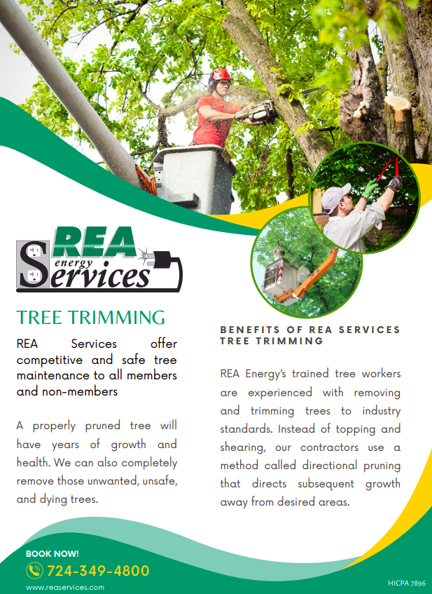 Tree Trimming